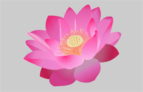 红莲花flash矢量动画素材